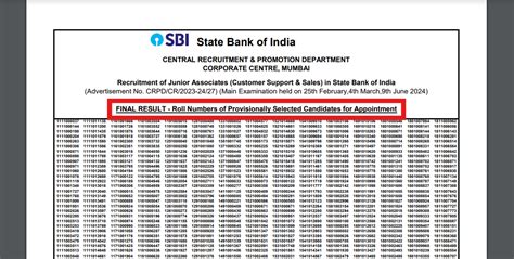 SBI Clerk Mains Result 2024 out at sbi.co.in, here's the direct link .